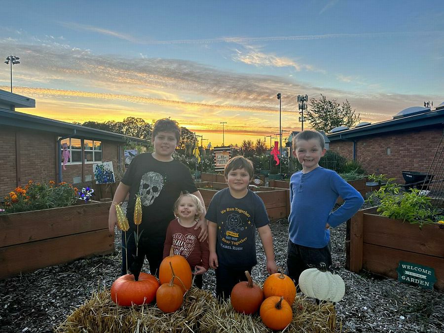 School Garden